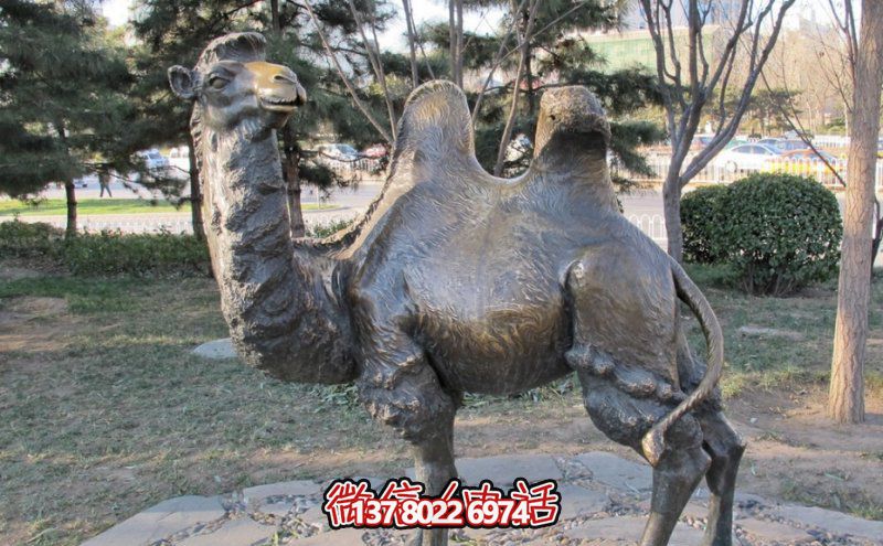創(chuàng)意大型玻璃鋼駱駝雕塑，在草地上擺放，一眼回頭