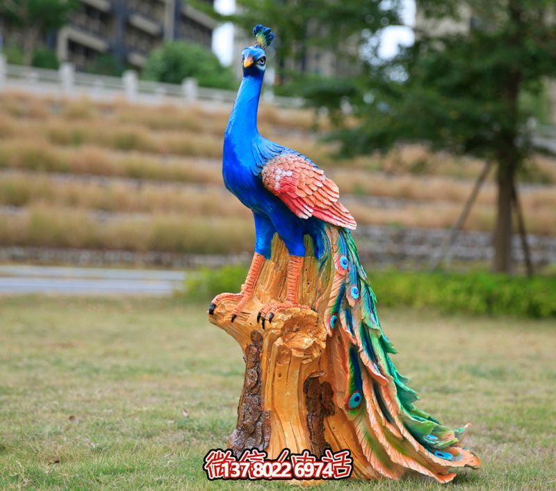 彩繪孔雀玻璃鋼雕塑，為公園街道擺放添彩