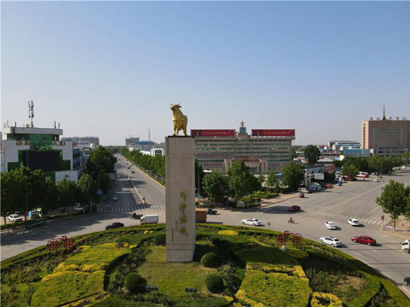 銅雕牛雕塑 銅雕牛雕塑